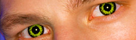 Crazy Contact Lenses